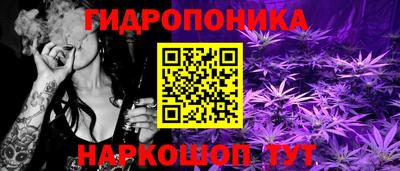 СК Кимры