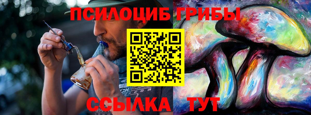 Псилоцибиновые грибы прущие грибы Йошкар-Ола
